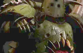 Illustration of Plague Marines